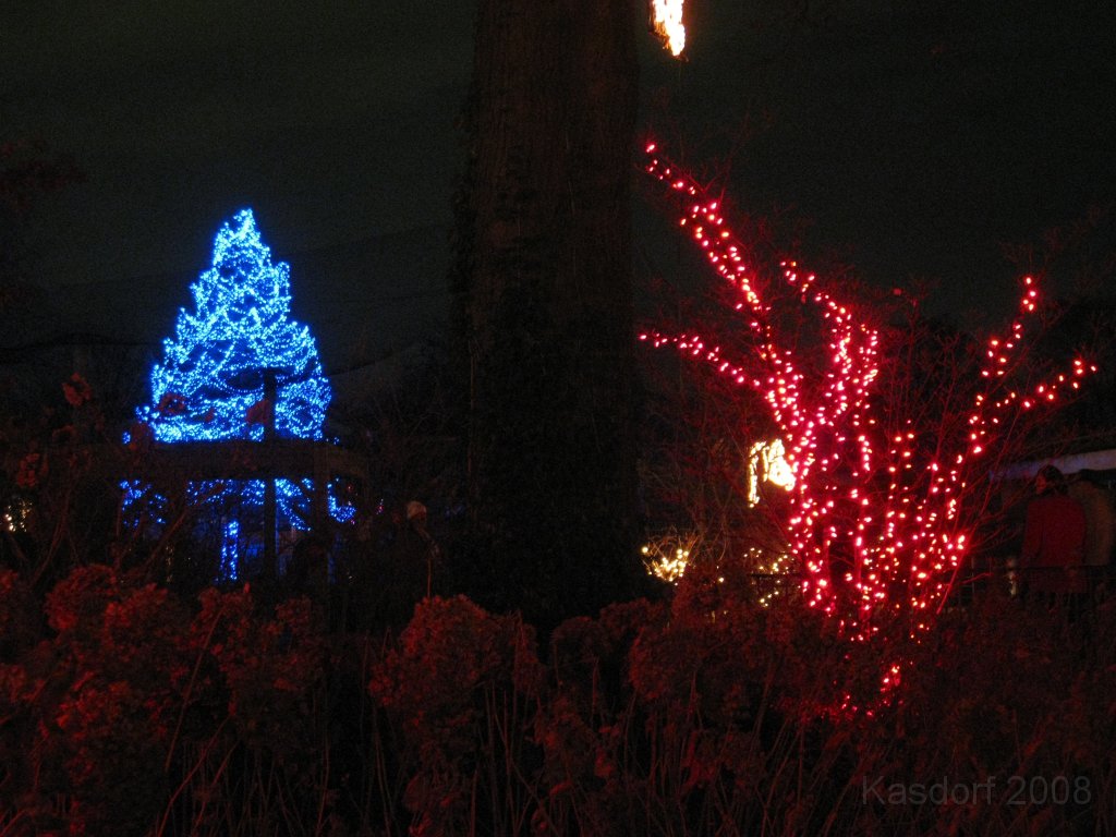 Toledo Zoo Lights 2008 043.jpg - The regular visit to the Toledo Ohio Zoo to see the Christmas Lights displays. New this trip were the "Dancing Lights", displays flashing in time with the Christmas Songs.